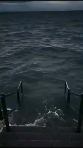 ocean memes on Instagram: "Wait for end 藍 . . . #OceanMemes #BeachMemes #SharkMemes #MermaidMemes #OceanJokes #OceanLover #BeachLife #MarineLife #SeaLife #CoastalLiving #TidalWave #SharkWeek #WorldOceansDay #BeachVibes #SurfLife . . ."