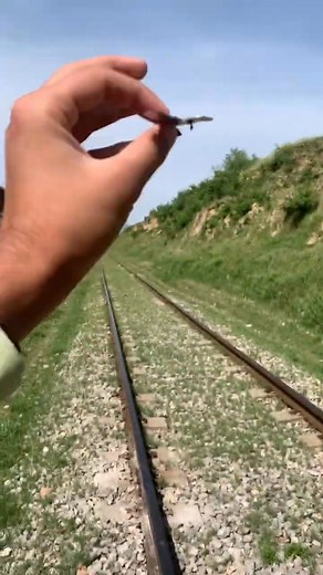 9.4K views · 87 reactions | Train Vs Key ｜ What Happened Next  #railwaytrack #train #railwayline #railroad #railway #challenge | Bienes raices | Facebook