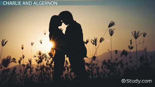 Flowers for Algernon | Summary, Themes & Characters