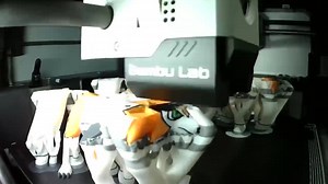 Lycanroc Midday Midnight Dusk Form Pokemon Figure 3D Printed Regular and Shiny Collectible | Pokemon Gift - Etsy