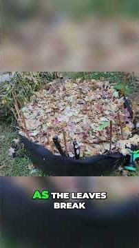 FREE Garden Mulch Trick: Save Money & Grow Better Garlic!