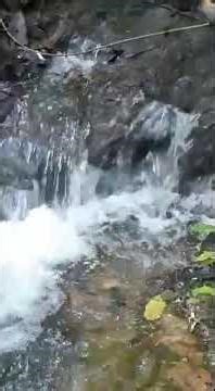 Linda cachoeira na Mata Atlântica-Parque Intervales-Vale do Ribeira #nature #paisagemnatural #travel