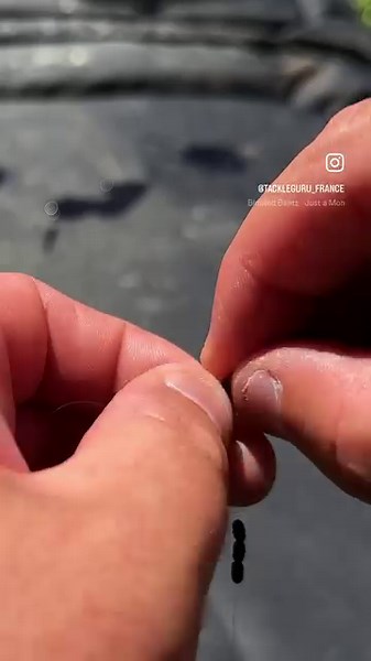 Montage Pellet Waggler simple et efficace 👌🏻👌🏻 #tackleguru #pelletwaggler #pêcheaupelletwaggler #vlogdebaptiste #carpodrome | Tackle Guru France