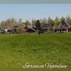 Do dva konja a obadva vrana... | Volim Vojvodinu