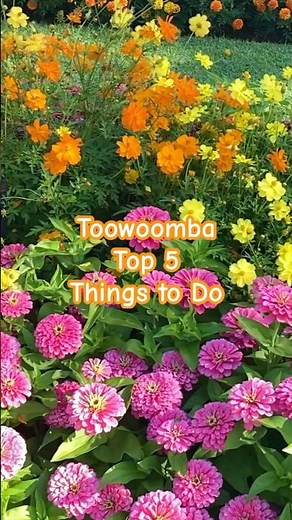 🌼Toowoomba Top 5 Things to Do #queensland #toowoomba #gardens