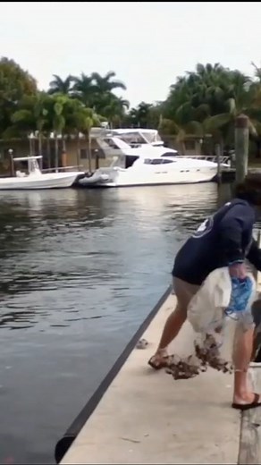 84K views · 820 reactions | One Throw Cast Net Fishing #mulletrun #livebait #lunkerdog #fishing #castnet #runthatdog | The Mullet Run | Facebook