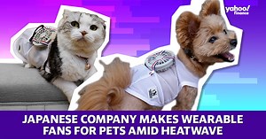 Japanese maternity clothing company ‘Sweet Mommy’ is branching out to offer wearable fans for pets as Japan faces a heatwave. https://yhoo.it/3BQuspK #yahoofinance #japan #heatwave #pets | Yahoo Finance