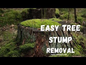 Easy Ways to Remove Tree Stumps short video