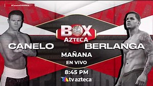 ¿Canelo o Berlanga? 🤜🤛 Las ventajas de cada boxeador estelar para el combate del 14 de septiembre 🏟️👊 #BoxAzteca #CaneloEnAzteca 🥊 🔴 EN VIVO: lc.cx/na2KPK | Box Azteca