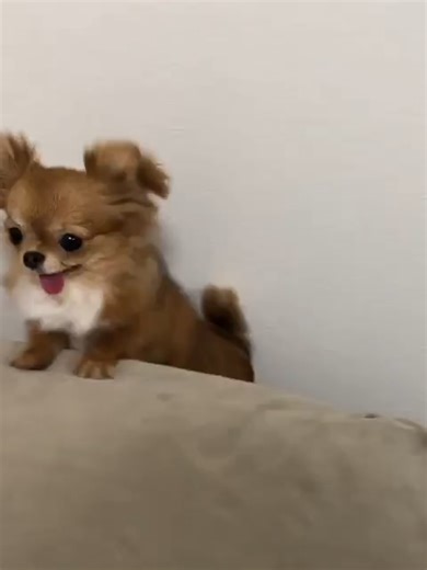 The Complete Handbook of curriculum design in 2023 #Explore