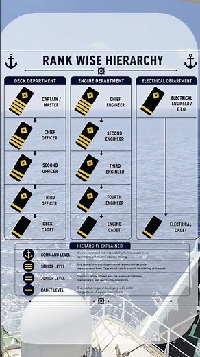 Merchant Navy Rank Hierarchy Explained ⚓ #sailorrider