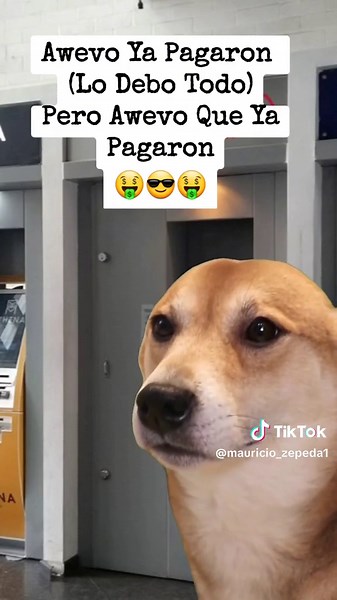 Meme Ahuevo: La Diversión del Humor Mexicano