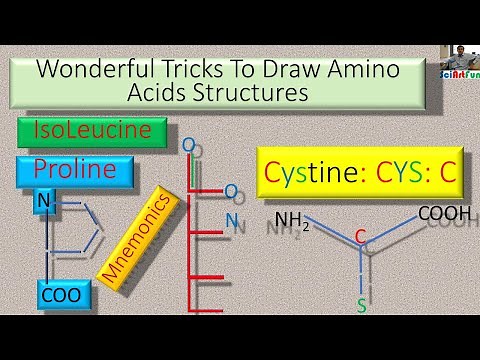 How To Draw Amino Acids Structures | Learn Mnemonics