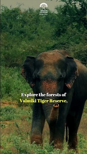 Find your escape in the green heart of Bihar. This summer, let nature be your destination.