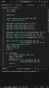Nobody ever fights Pygame images after this