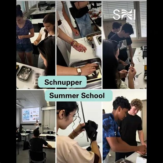 Schnupper Summer School 2026 #nanoscience #nanotechnology #studyprogram