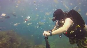 529K views · 5.3K reactions | Devastating. Rich Horner was diving...