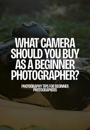 Beginner Photographer: DSLR vs Mirrorless Camera Guide