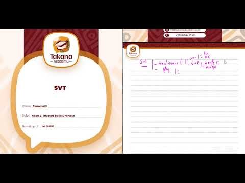 Svt II Cours 2 : Structure du tissu nerveux II M.DIOUF