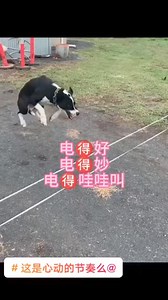 4.8M views · 44K reactions | The funniest moment | Moses comedy tv | Facebook