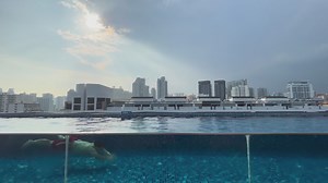 26K views · 302 reactions | Hippo swimming at Holiday Inn Express Rooftop Pool That's our loopist. | Singapore Atrium Sale | Facebook