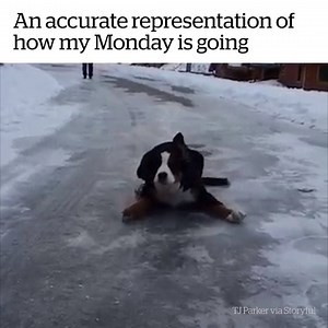 HELP ME 😭😂 | VT