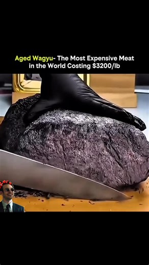 giggle_grid_x on Instagram: "Luxury on a plate meets precision science-this is aged Wagyu, the meat that defines indulgence🥩 Wagyu beef isn’t just expensive because it tastes incredible; it’s a product of genetics, meticulous care, and advanced culinary science. Originating from Japan, Wagyu cattle are bred for extraordinary marbling-intramuscular fat that melts at low temperatures, giving the meat its legendary tenderness and flavor. Farmers monitor diet, exercise, and stress levels to ensure 