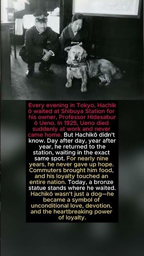 The Dog Who Waited 9 Years for His Best Friend