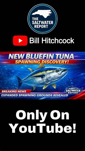 Scientists Just Discovered Where Bluefin Tuna Actually Spawn #MarineScience #OceanDiscovery