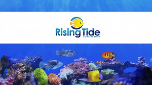 23K views · 163 shares | Busch Gardens Tampa Bay is proud to announce...