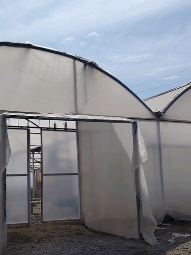 Invernaderos de Estructura Galvanizada para Cultivos