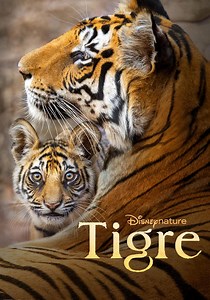 Tigre filme - Veja onde assistir online