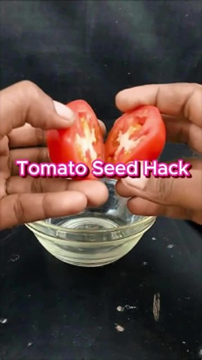 Crazy Farmer (@crazyfarmerny)’s videos with original sound - Crazy Farmer