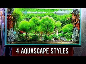 4 Aquascape Styles You Need to Try At Least Once