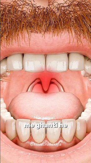 What is the purpose of your Uvula in your body ? 👅 (3D Animation) by Keval Rudakiya