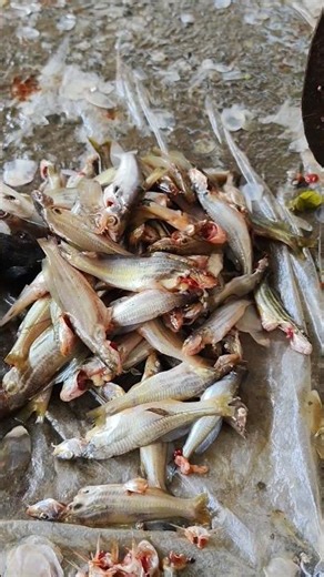 amazing river small fish cutting skills full process #shorts
