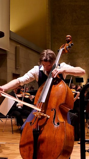 One year already 🌹🎼 . . . . #music #musician #classicalmusic #classicalmusician #year #bass #bassist #doublebass #doublebassist #contrebasse #germanbow #fashion #model #modeling #marcandre #MARCANDRE #malemodel #orchestra #soloist