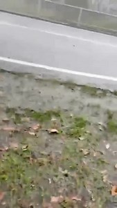 32K views · 185 reactions | Yang penting rakam dulu, pastu ko berjalan pulak, sepatutnya cari kayu selamatkan lah kalau tak pandai berenang pun. Channel Rasmi Sepang https://whatsapp.com/channel/0029VaW921wFy72EC8lrUV1P | Sepang Viral | Facebook