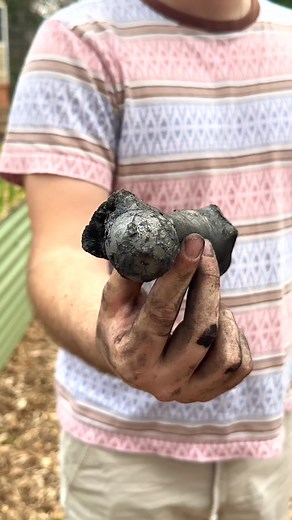 166K views · 3.8K reactions | Biochar soil hack! (via Acorn Land Labs) #biochar #gardentips #gardeninglife | Neighborhood Farms USA | Facebook
