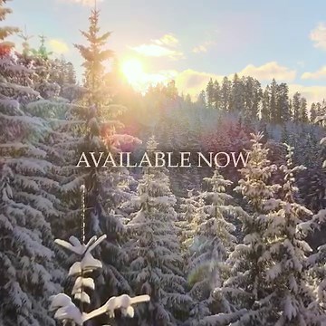 3.4K reactions · 435 shares | ❄️ Enjoy beautiful, wintry scenes while listening to music from Stan Whitmire's Heaven's Child - available now on our Gaither Music TV YouTube channel here: https://youtube.com/playlist?list=PLbJ2NNqPTeAqBg_XsrjXNoAXllB4aMo4g&si=TIEwVbEwpnf2X8ul #Gaither #Christmas #Winter #Reels | Gaither Music | Facebook