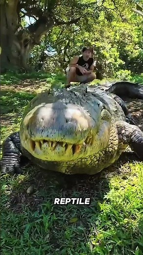 These Animals Are Biggest Animals in the World – You Won’t Believe Their Size