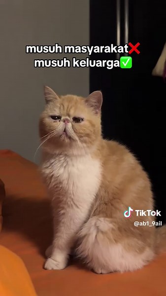 keluarga udh pasrah #makcuki | toxic relationship with family