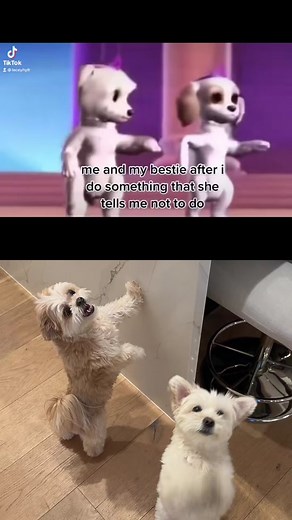 Barbie Elfinchen: Duet with Lacey