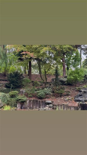 Valenta garden in Czech | American Conifer Society