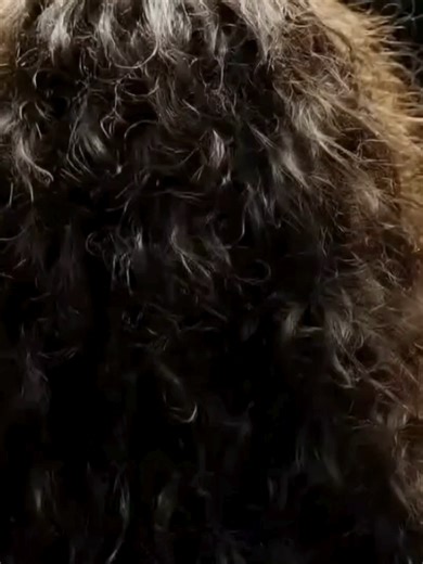 Essential Hair Routine Tips for Healthy Hair