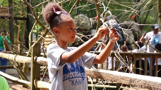 Learn all about Sylvan Heights Bird Park, a unique conservation and breeding center for endangered waterfowl from around the world in Scotland Neck. Tune into new episodes of NC Weekend on Thursdays at 9 PM on PBS NC and stream on the PBS App. | PBS North Carolina