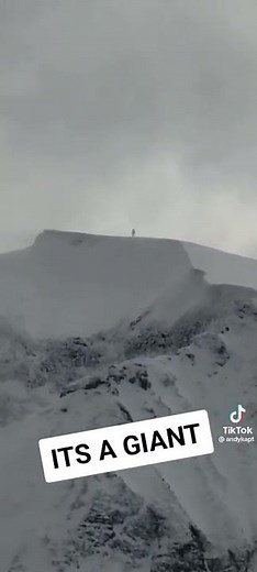 Andrew Dawson’s Giant Spotting | Part 1