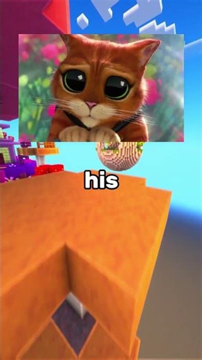 He Raided an Animal Shelter for His Cat #shorts