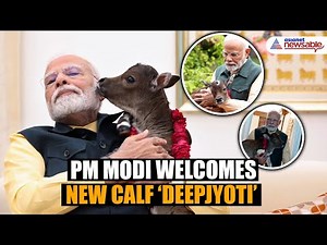 PM Modi Welcomes New Calf ‘Deepjyoti’ at Lok Kalyan Marg Residence, Heartwarming Video Wins Hearts