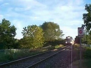GO Transit 239 Northbound E.G.